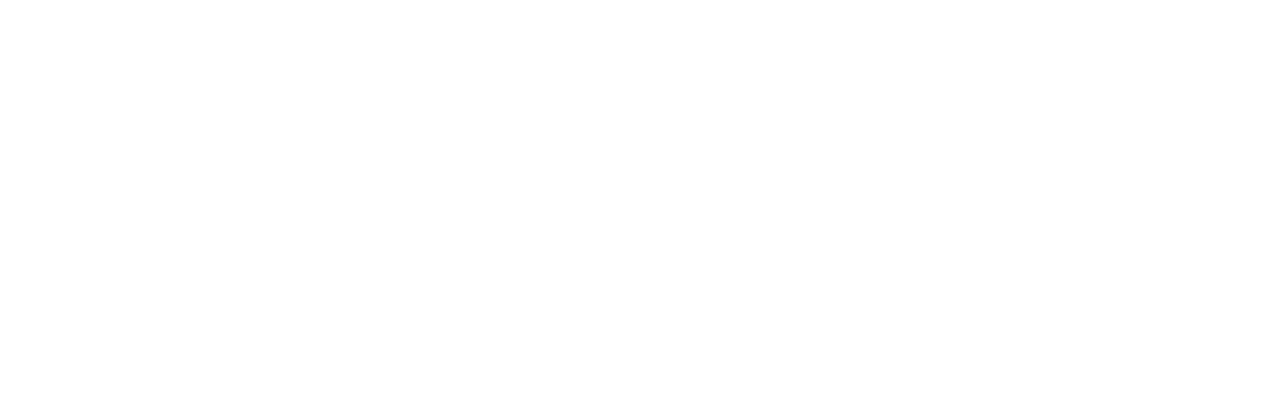 NVRGRWN Travel